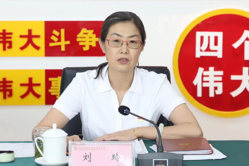 調查研究見行見效 主題教育走深走實 &mdash;&mdash;集團黨委召開理論學習中心組第十五次集體學習會暨主題教育調研成果交流會