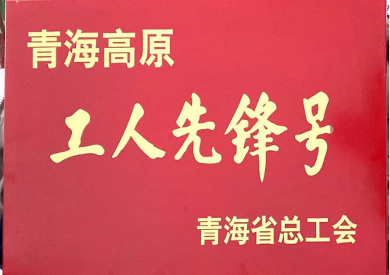 青海朝陽機電交易市場有限公司市場管理部榮獲青海高原&ldquo;工人先鋒號&rdquo;稱號